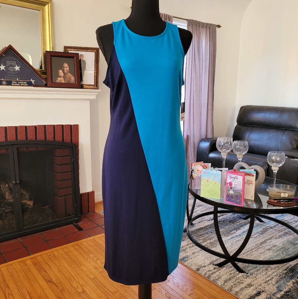 Two Tone Blue Dress
